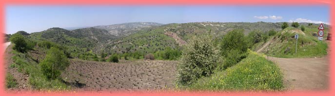 Wine growing area in the hills near Paphos